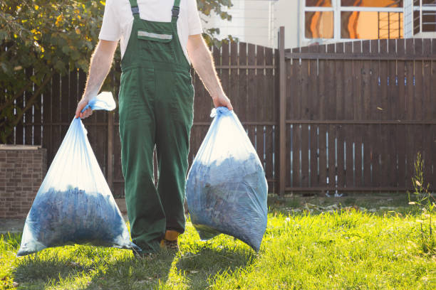 Attic Cleanout Services in Tanaina, AK